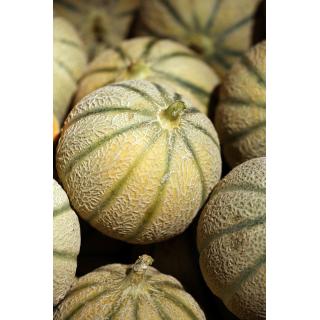 Melone Cantaloup