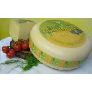 Gouda Hooidammer Kuh/past/Schnitt/V