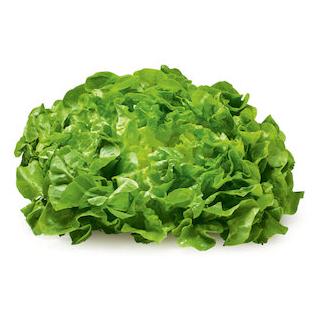 Salat Eichblatt grün