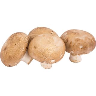 Pilze Steinchampignon