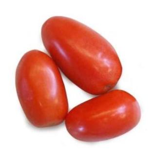 Tomaten Eiertomaten, Roma