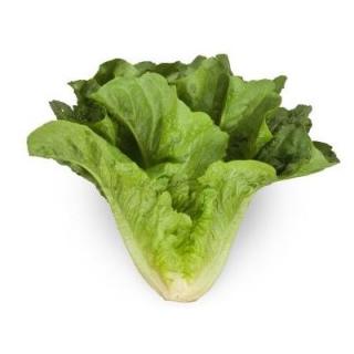 Salat Romana