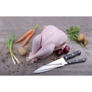 Weihnachts- Pute klein, ca. 3,5kg