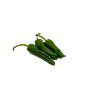 Bratpaprika "Pimientos dePadron", grün