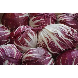 Radicchio