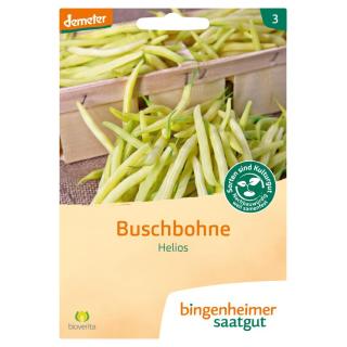 Buschbohne Helios