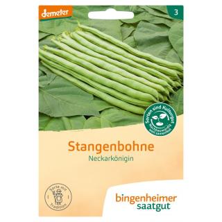 Stangenbohne Neckarkönigin