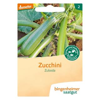 Zucchini Zuboda
