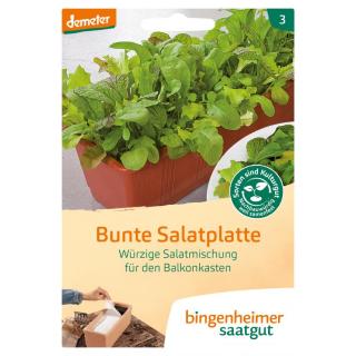 Mischung Bunte Salatplatte