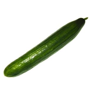 Gurke Schlange