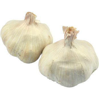 Knoblauch, getrocknet