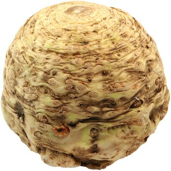 Sellerieknolle