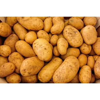 Kartoffeln festkochend, 3kg