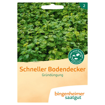 Mischung Gründüngung