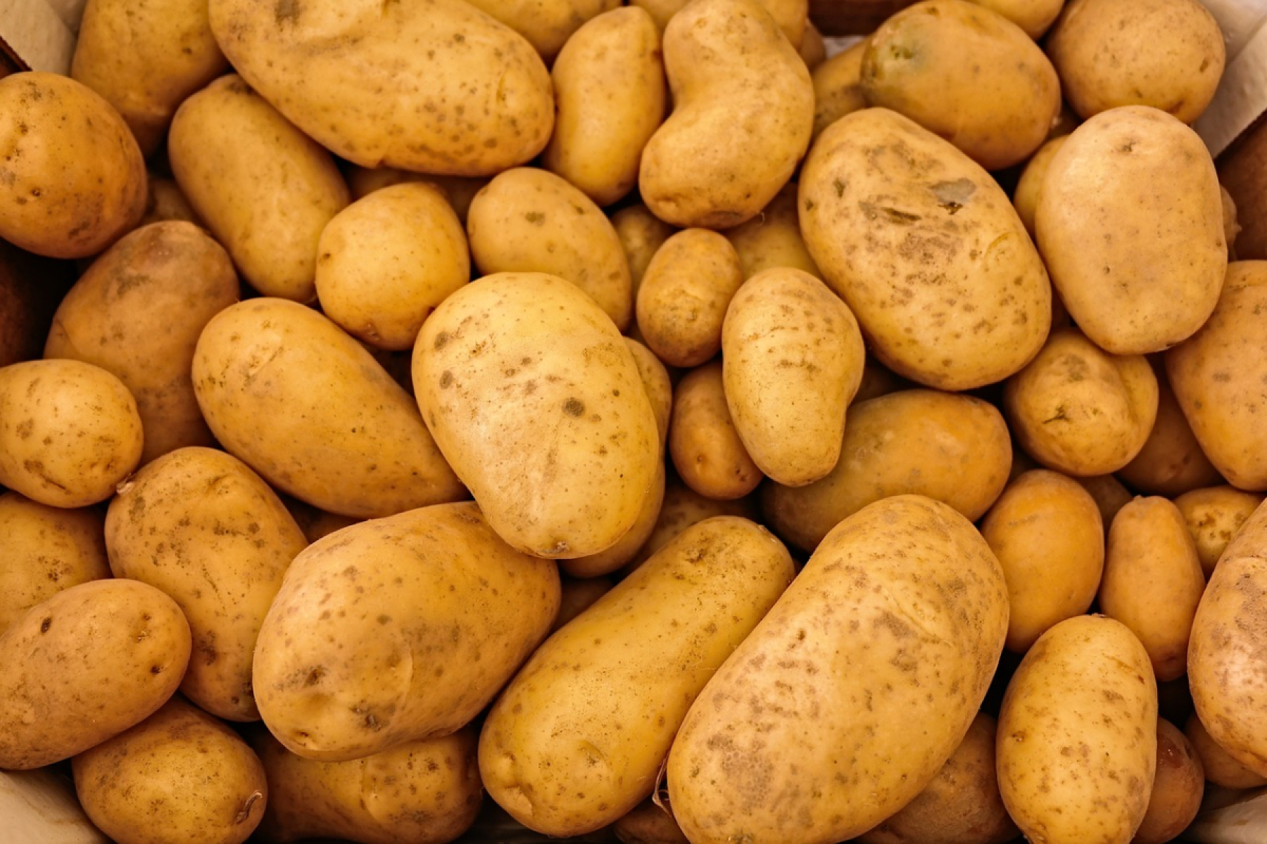 Kartoffeln  mehlig, 3 kg