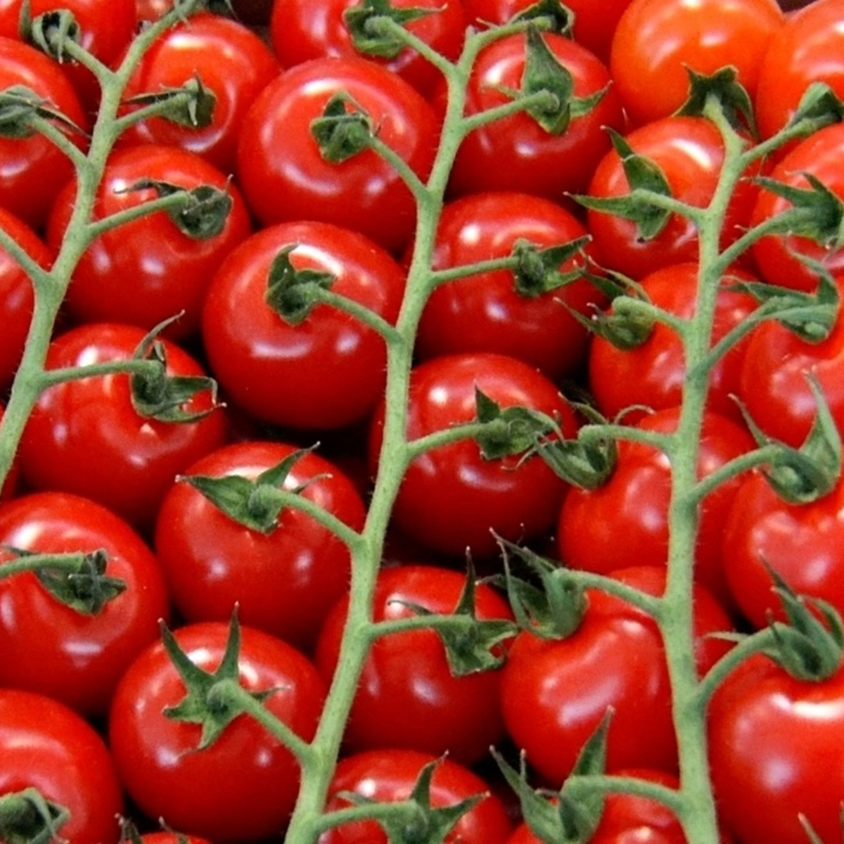 Cherrytomaten