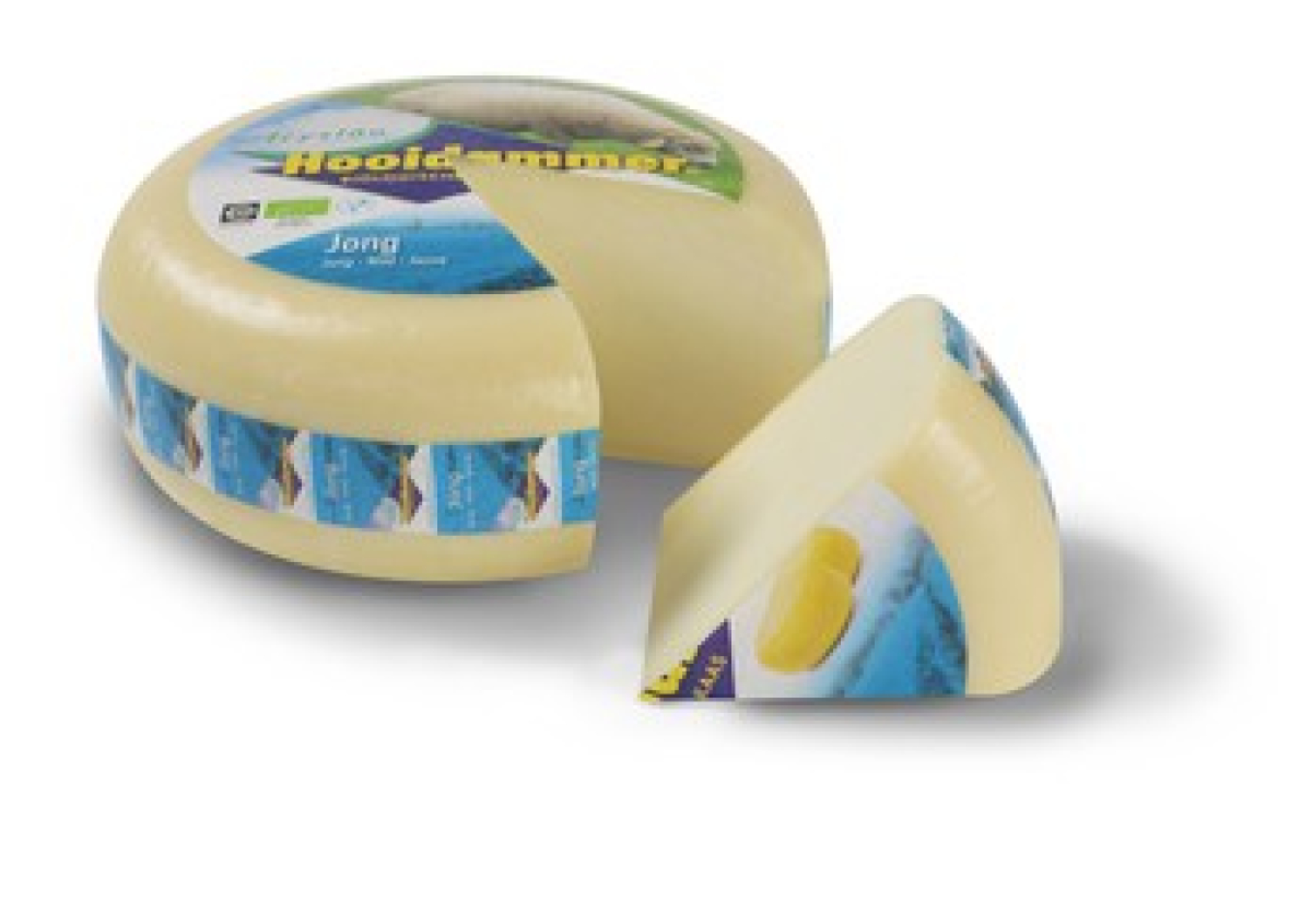Gouda Hooidammer Schaf/past/Schnitt/V