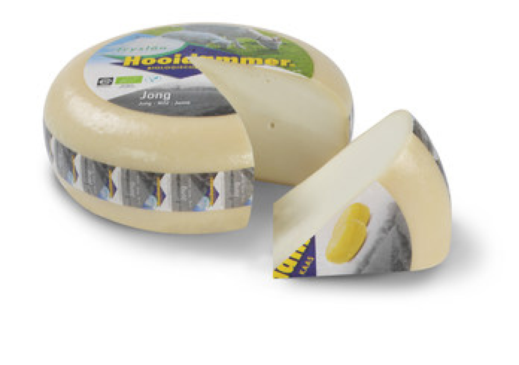Gouda Hooidammer Ziege/past/Schnitt/V