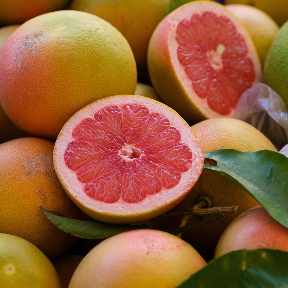 Grapefruit rot