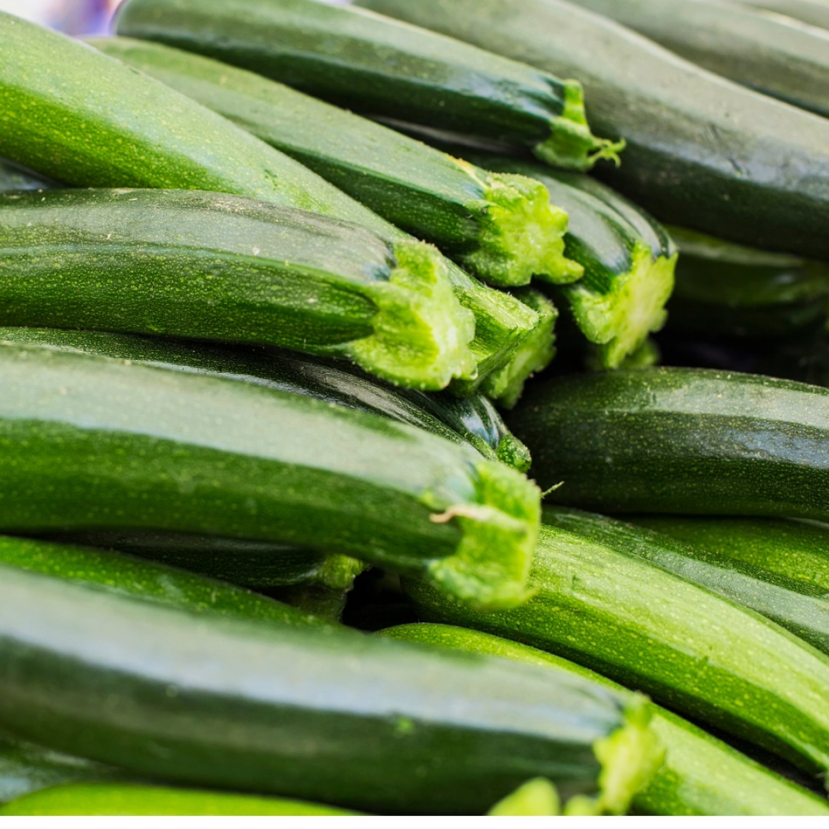 Zucchini