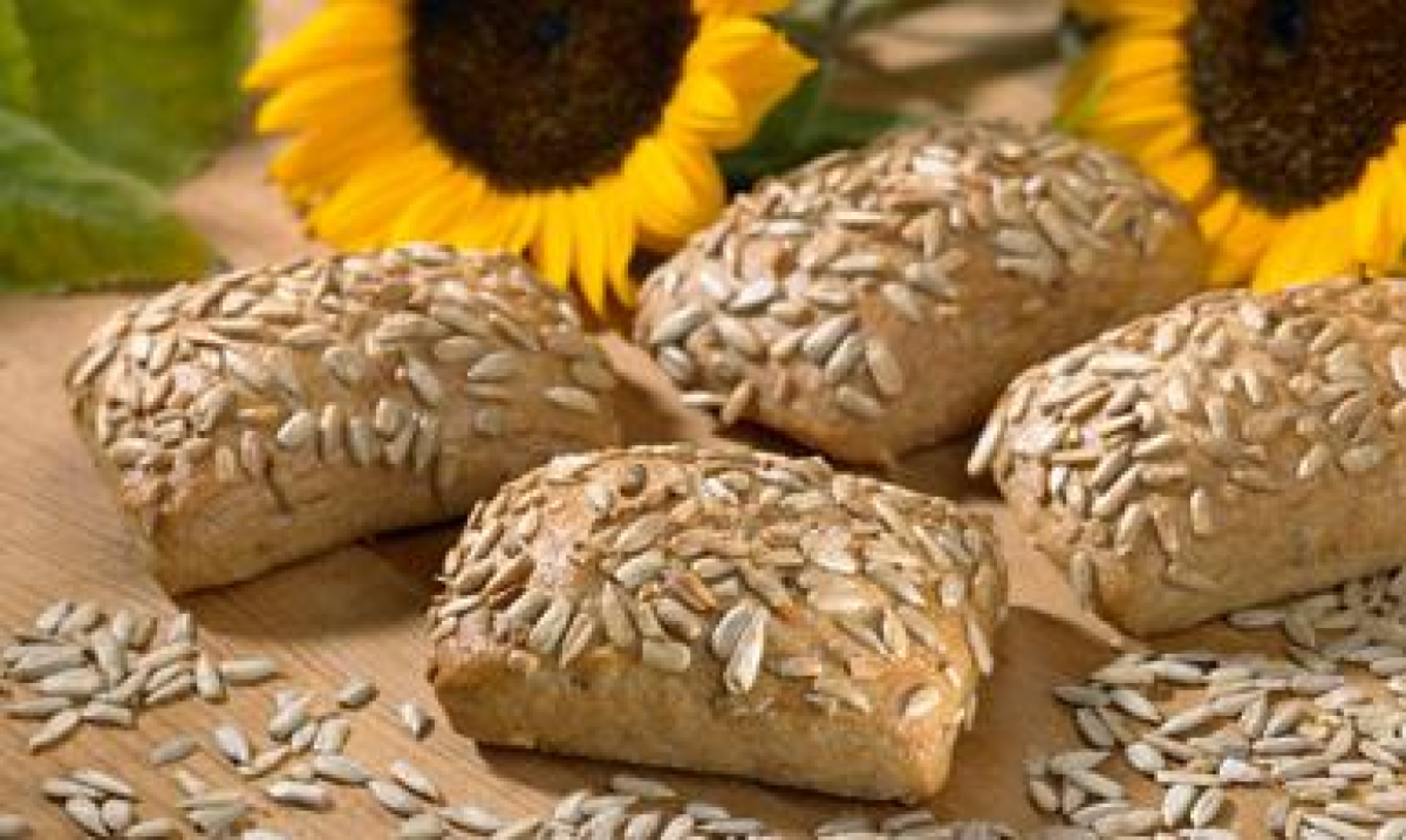 Vollkorn Sonnenblumenbrötchen