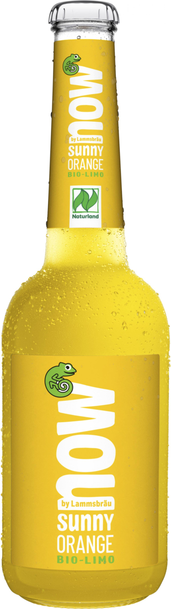 now Sunny Orange 10x 0,33l - VORBESTELLUNG!