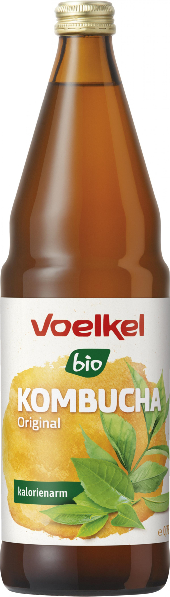 Kombucha original