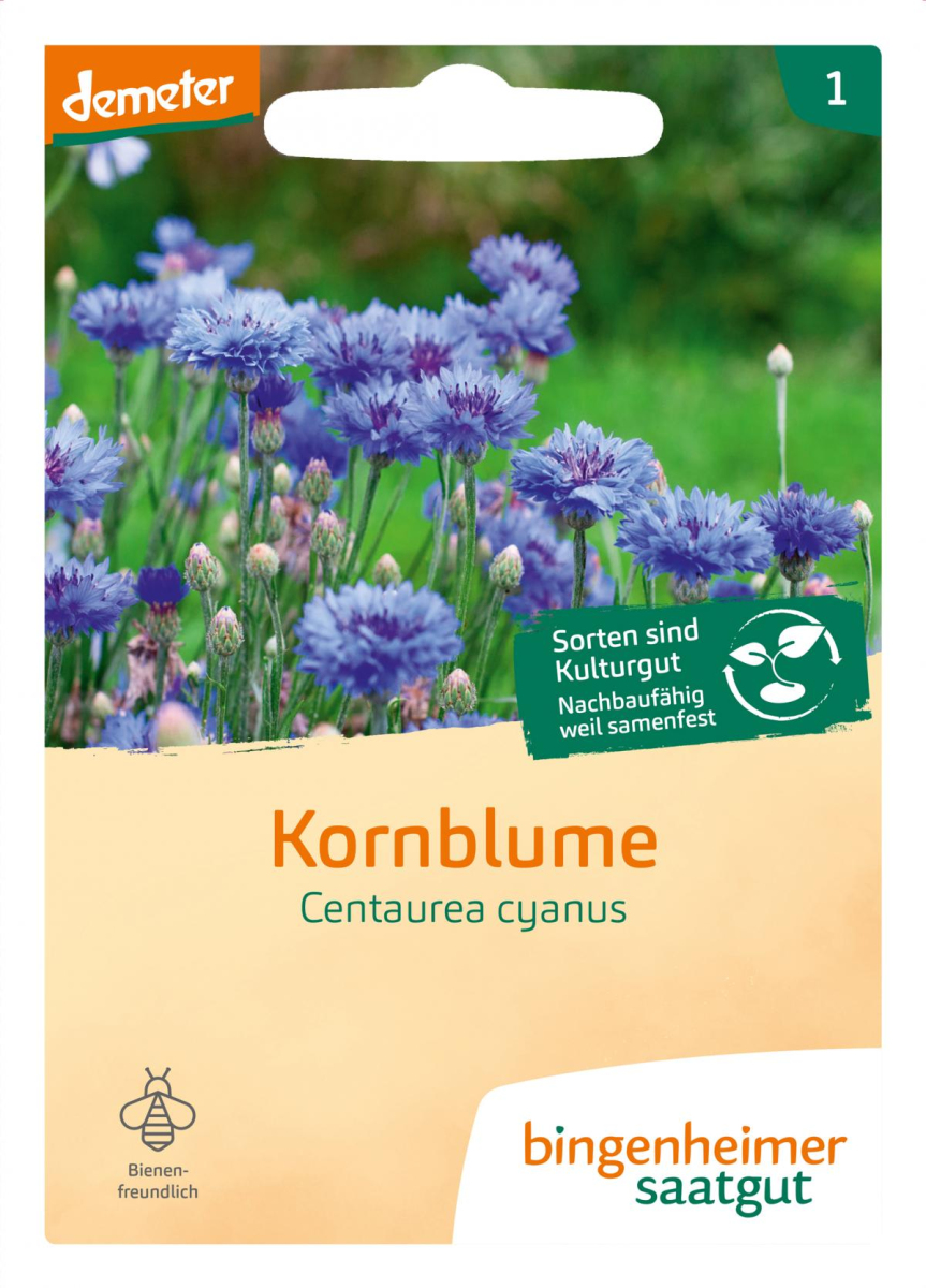 Kornblume