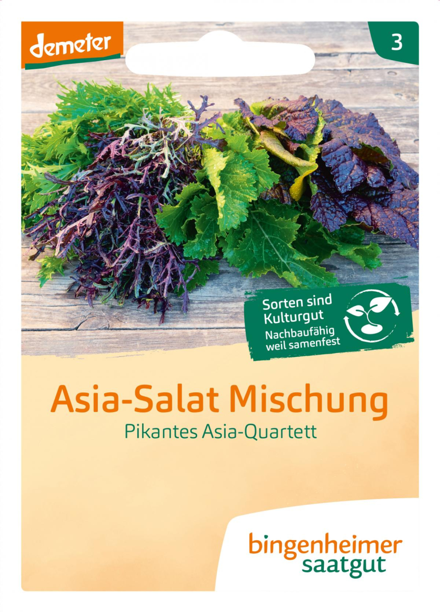 Asia Salat Quartett
