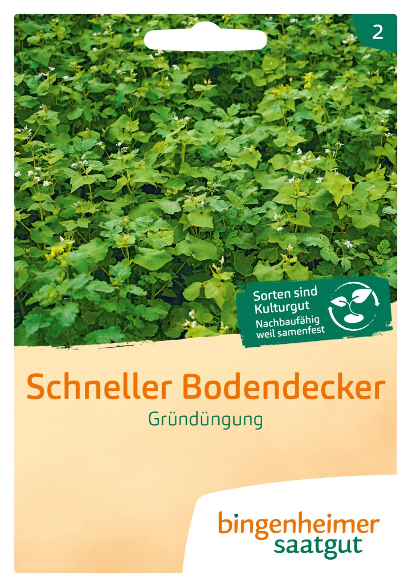 Mischung Gründüngung