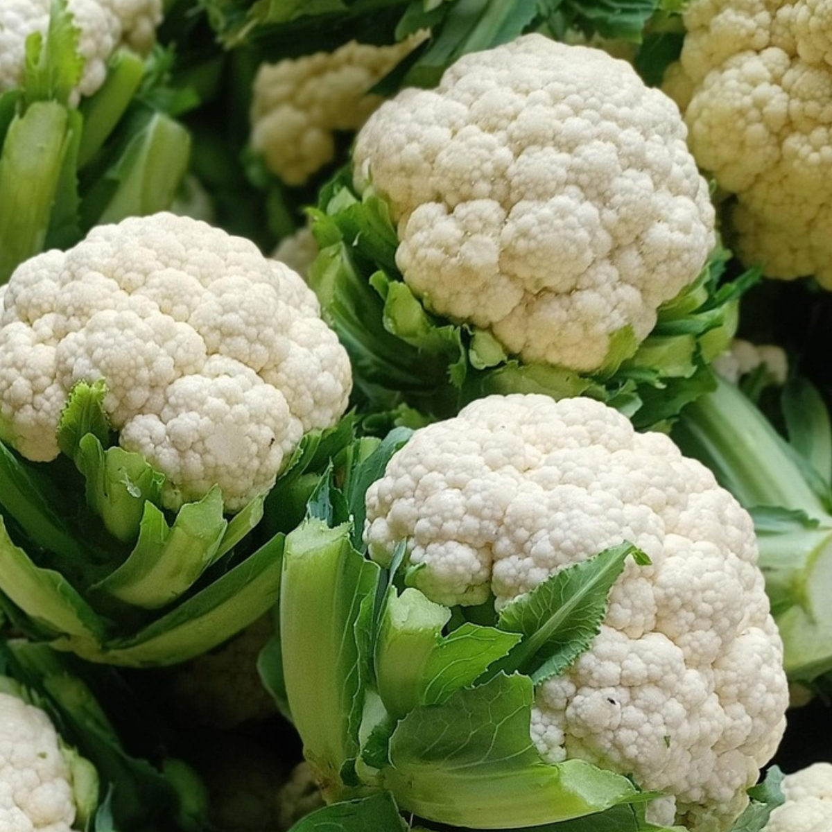 Blumenkohl