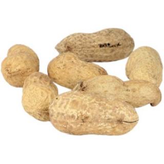 Erdnüsse geröstet, lose