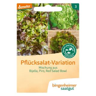 Pflücksalat Variation