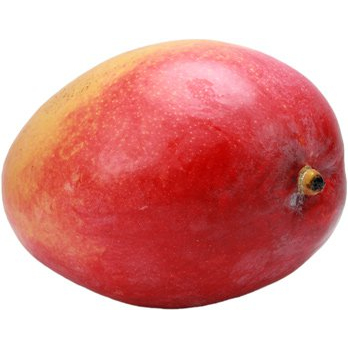 Mango Kent