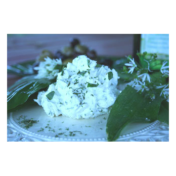 Petersilien-Schafskäse-Creme/past/V