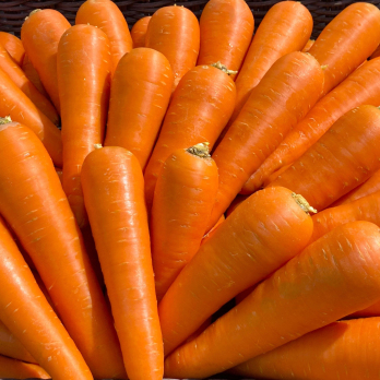 Karotten